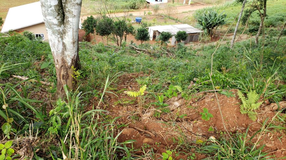 Rural com 2 Quartos à Venda, 84,00 m² - Foto 24