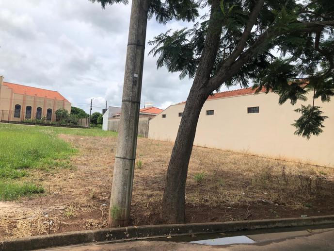 Terreno à Venda - Foto 6