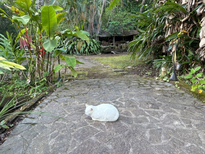 Casa com 3 Quartos para Temporada, 2.900,00 m² - Foto 35