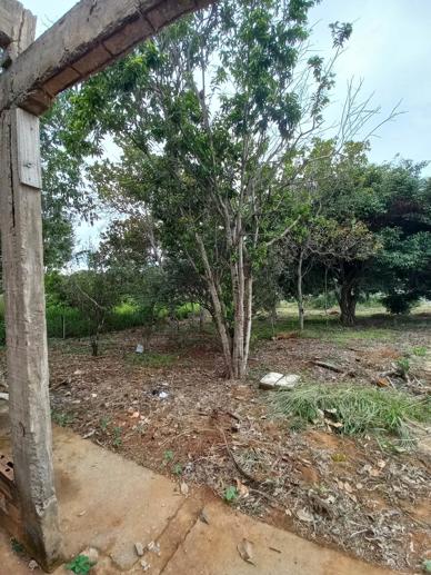 Casa com 2 Quartos à Venda, 1.920,00 m² - Foto 24