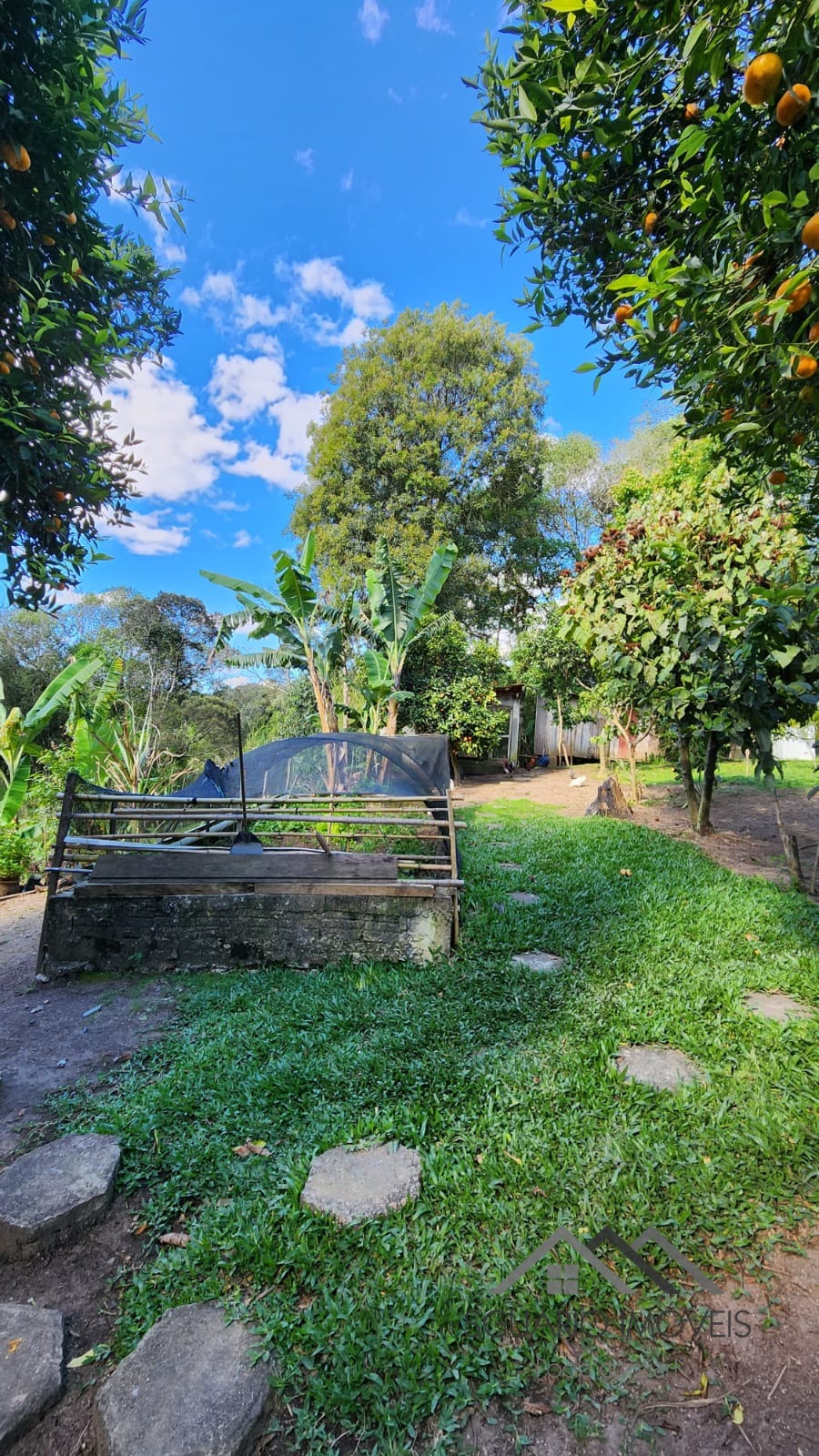 Rural à Venda, 3.025,00 m² - Foto 15