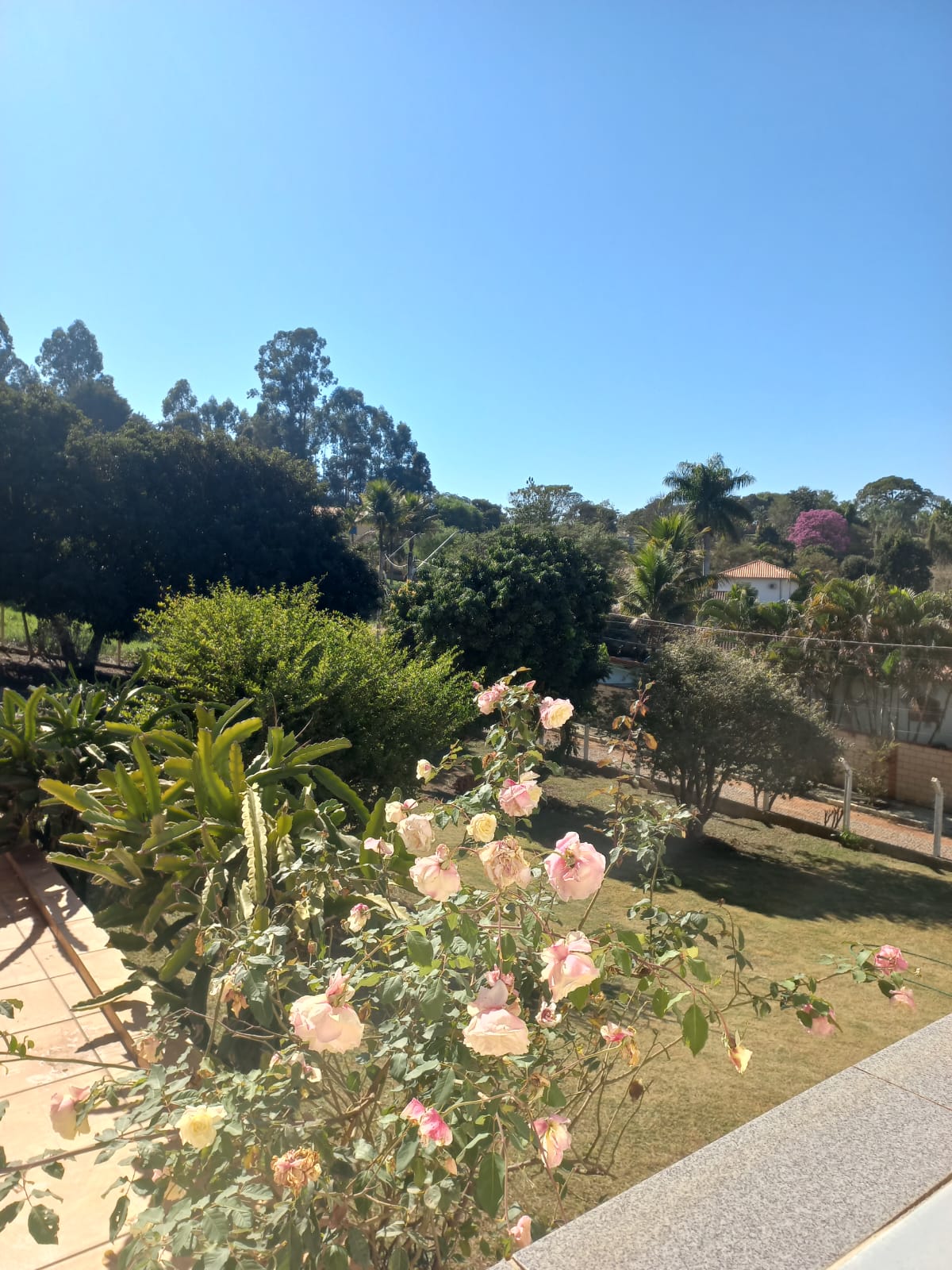 Rural com 4 Quartos à Venda, 2.100,00 m² - Foto 34