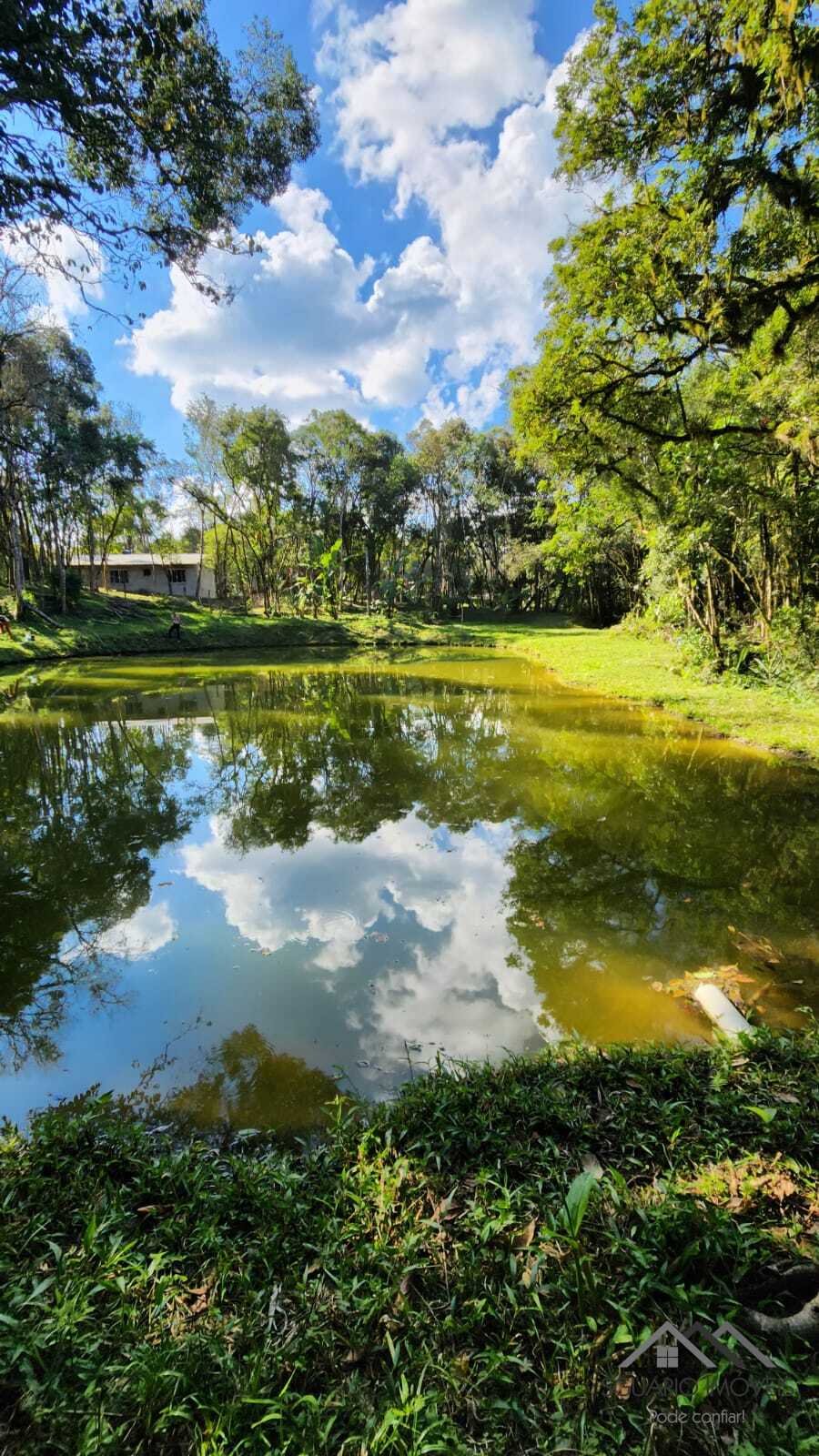 Rural à Venda, 10.859,00 m² - Foto 18