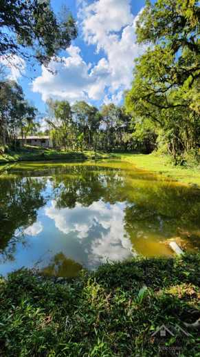 Rural à Venda, 10.859,00 m² - Foto 18