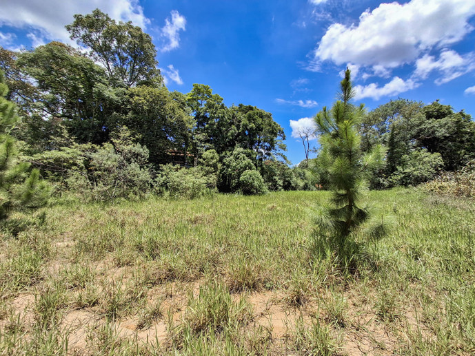 Rural com 3 Quartos à Venda, 5.400,00 m² - Foto 12