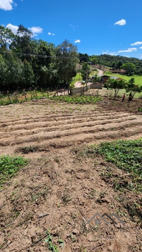Rural à Venda, 6.050,00 m² - Foto 20