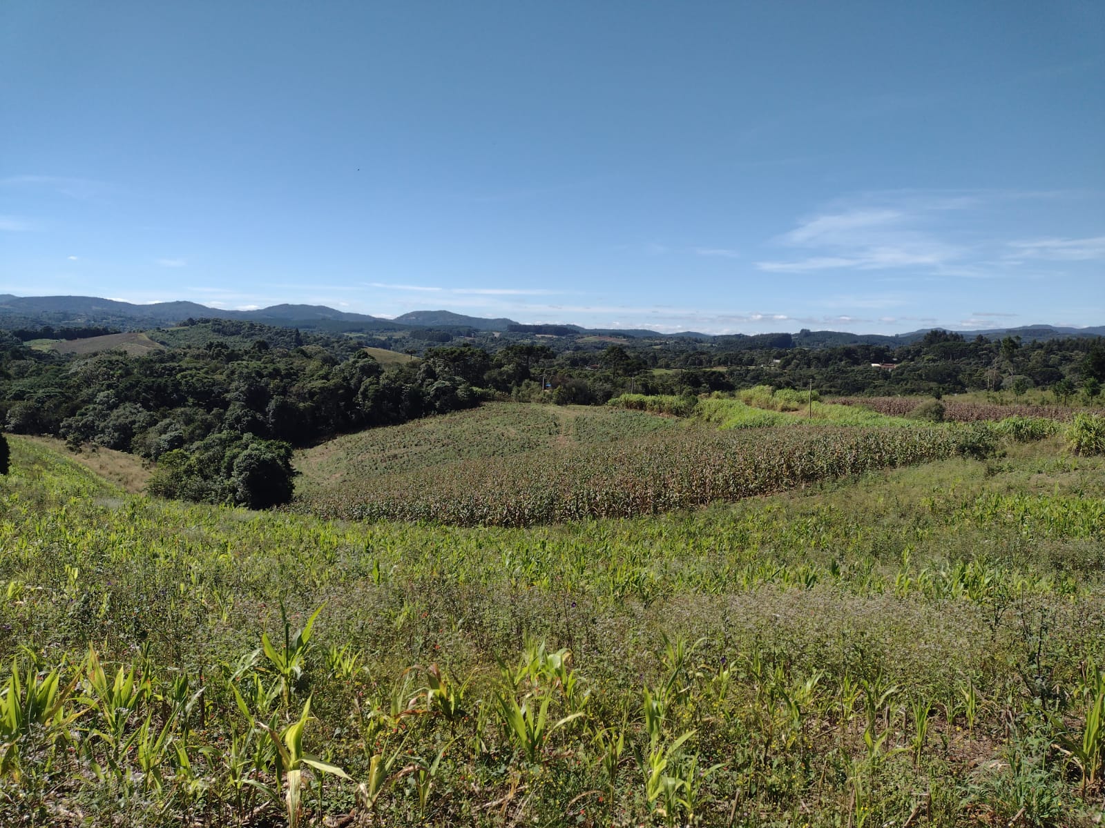 Terreno à Venda, 4.864,18 m² - Foto 8