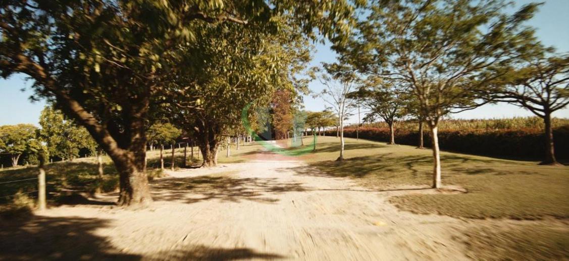 Rural com 4 Quartos à Venda, 241.000,00 m² - Foto 23