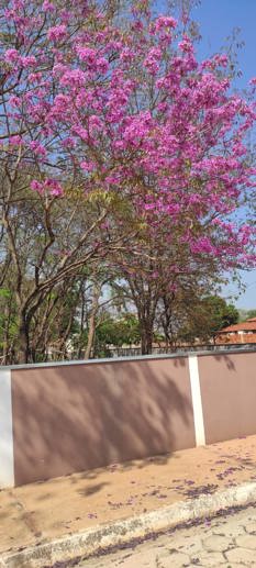 Terreno à Venda, 484,07 m² - Foto 2