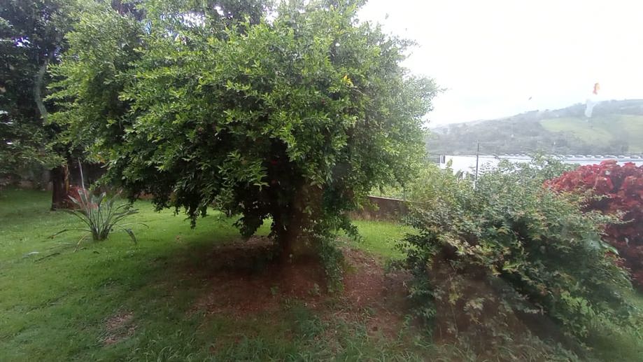 Casa com 5 Quartos à Venda, 990,00 m² - Foto 22