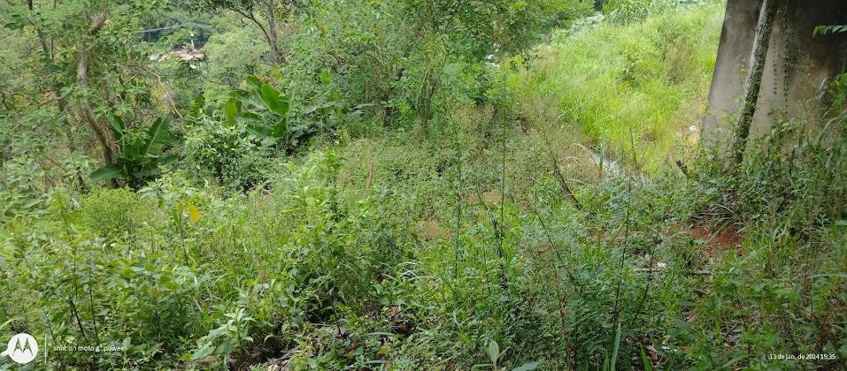 Terreno à Venda, 1.134,00 m² - Foto 5