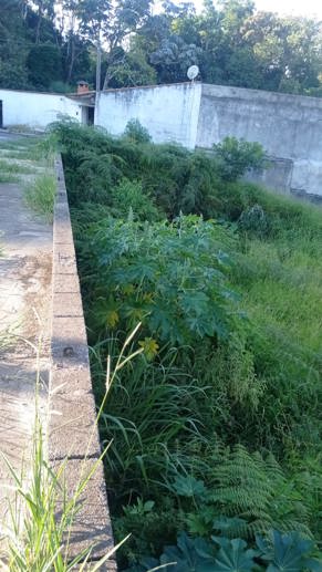 Terreno à Venda, 360,00 m² - Foto 3