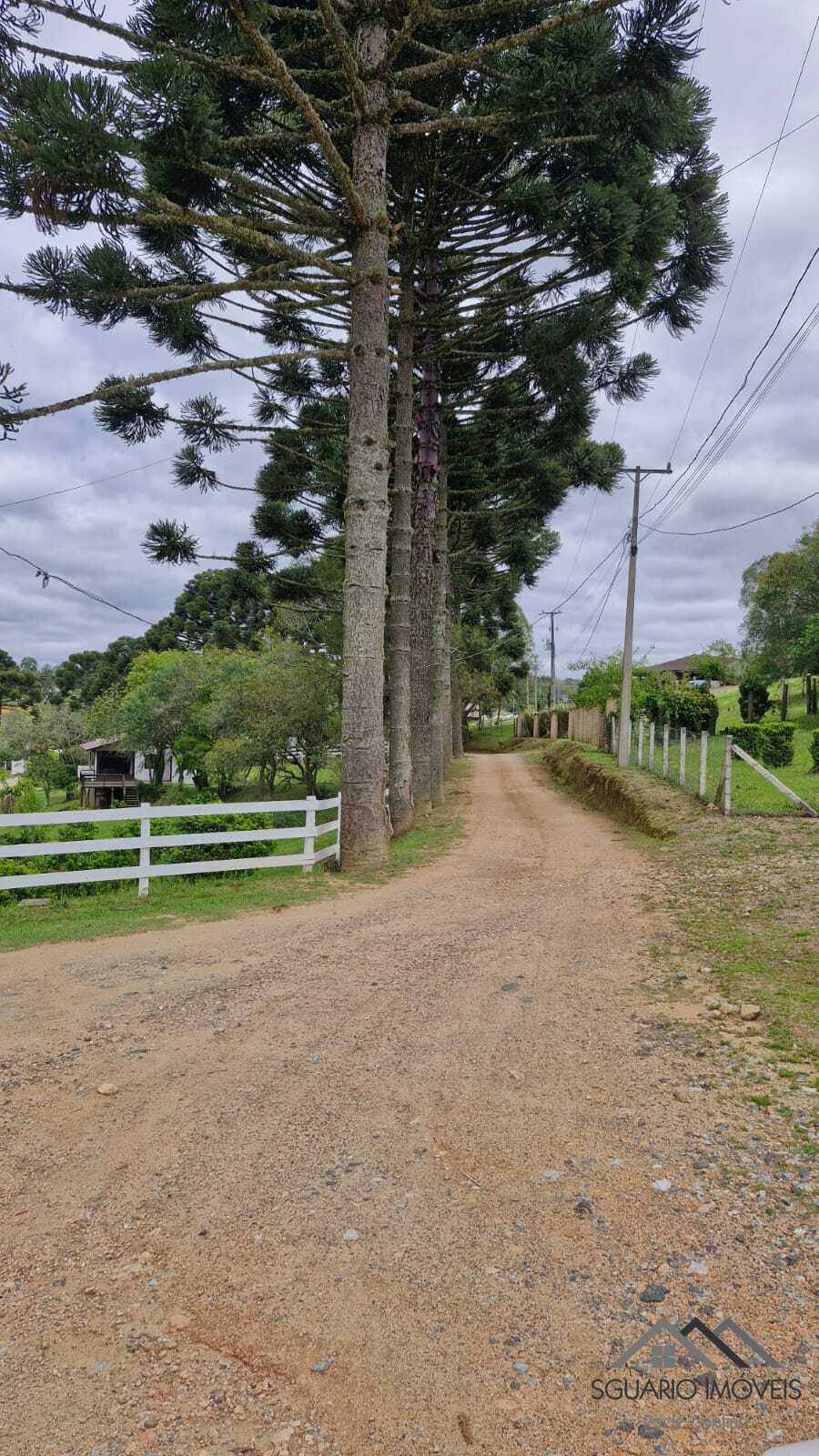 Rural com 3 Quartos à Venda, 3.000,00 m² - Foto 19