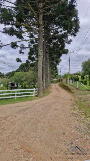 Rural com 3 Quartos à Venda, 3.000,00 m² - Foto 19