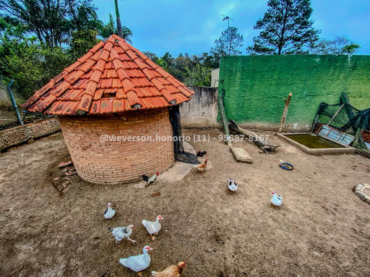 Casa com 4 Quartos à Venda, 10.000,00 m² - Foto 18