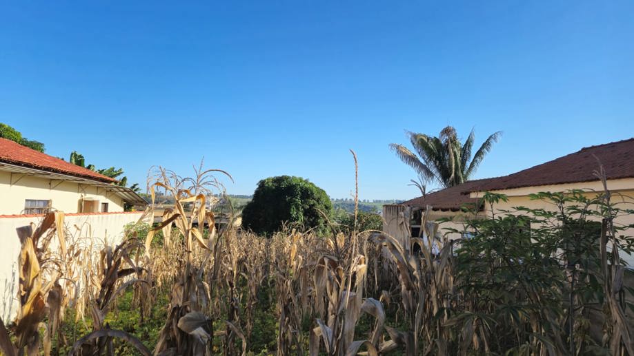 Terreno à Venda, 730,00 m² - Foto 1