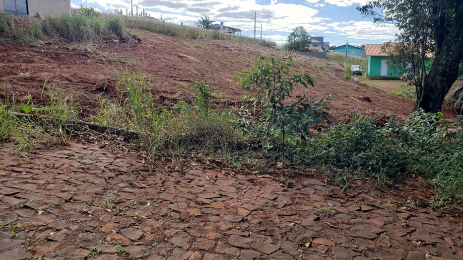 Terreno à Venda, 470,59 m² - Foto 1
