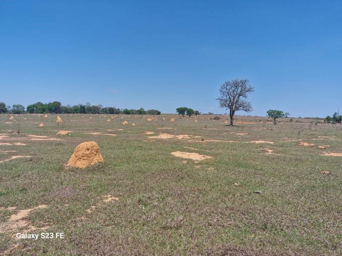 Rural com 4 Quartos à Venda, 31.156,52 m² - Foto 63