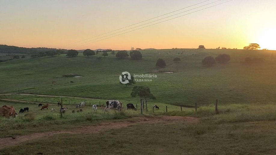 Rural com 5 Quartos à Venda, 868,00 m² - Foto 16
