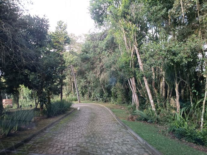 Rural com 3 Quartos à Venda, 1.237,22 m² - Foto 125