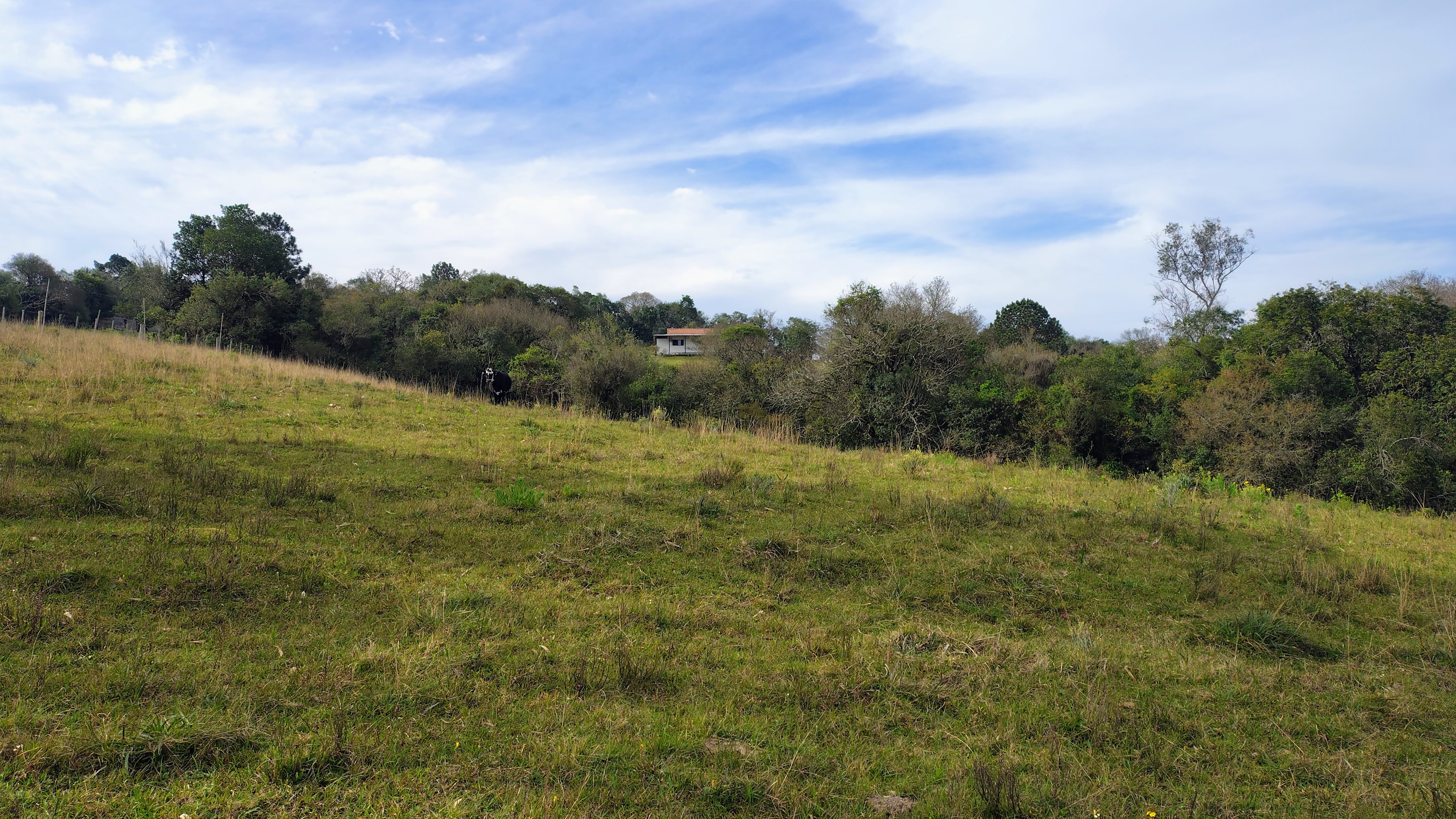 Rural com 2 Quartos à Venda, 20.000,00 m² - Foto 15