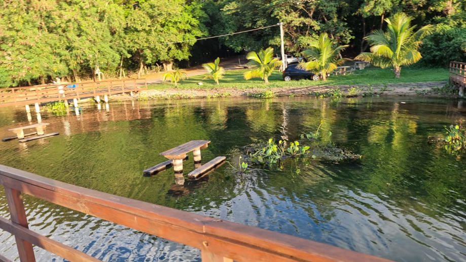 Terreno à Venda, 608,36 m² - Foto 4