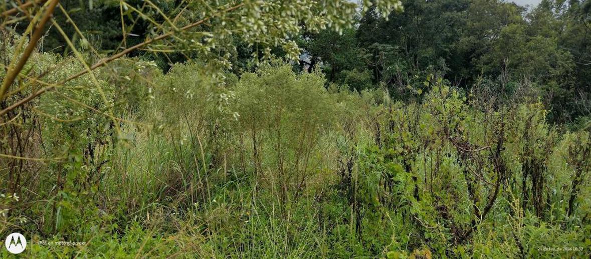 Terreno à Venda, 1.000,00 m² - Foto 5