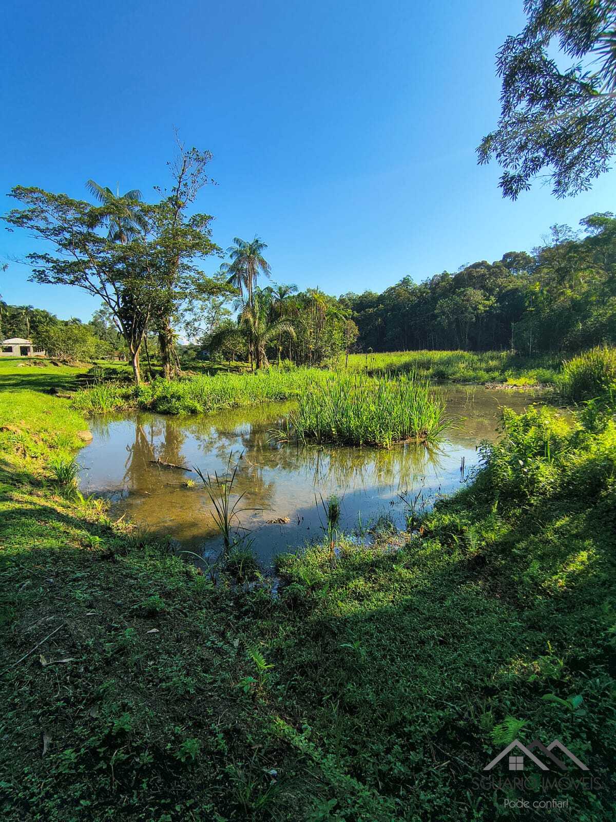 Rural à Venda, 84.700,00 m² - Foto 63