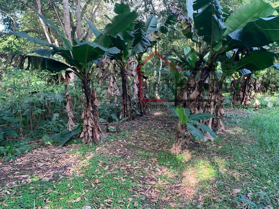 Rural com 1 Quarto à Venda, 2.500,00 m² - Foto 9