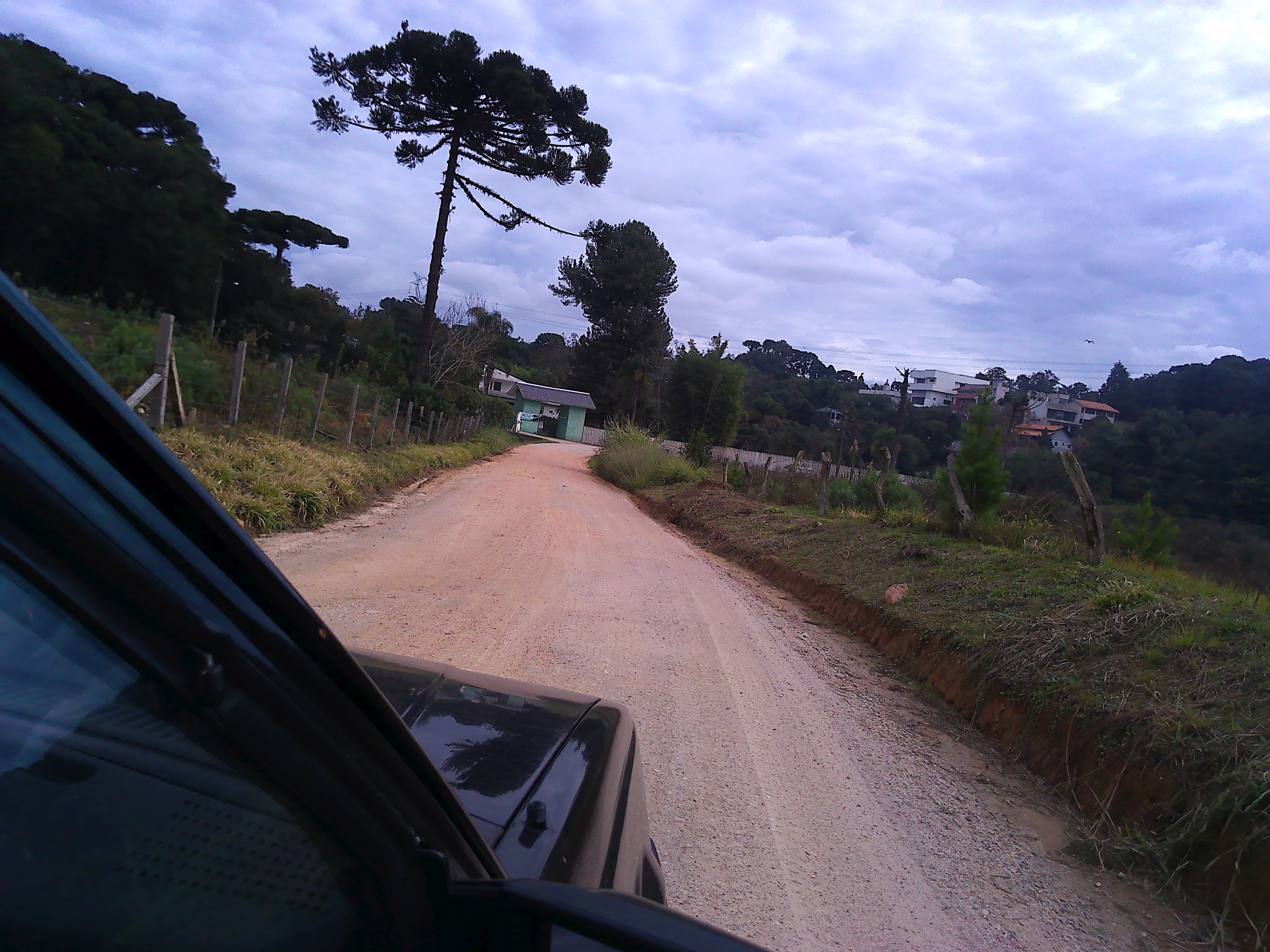 Rural com 3 Quartos à Venda, 1.237,22 m² - Foto 2