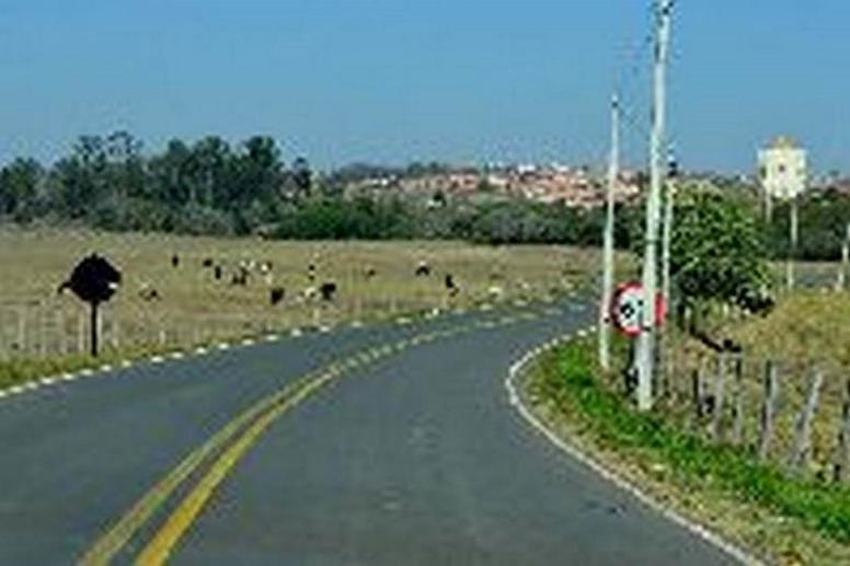 Terreno à Venda, 1.833,27 m² - Foto 2