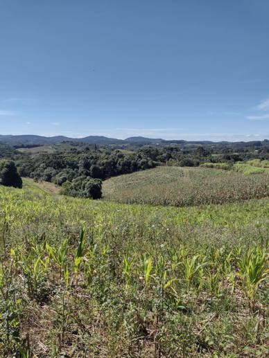 Terreno à Venda, 4.864,18 m² - Foto 1