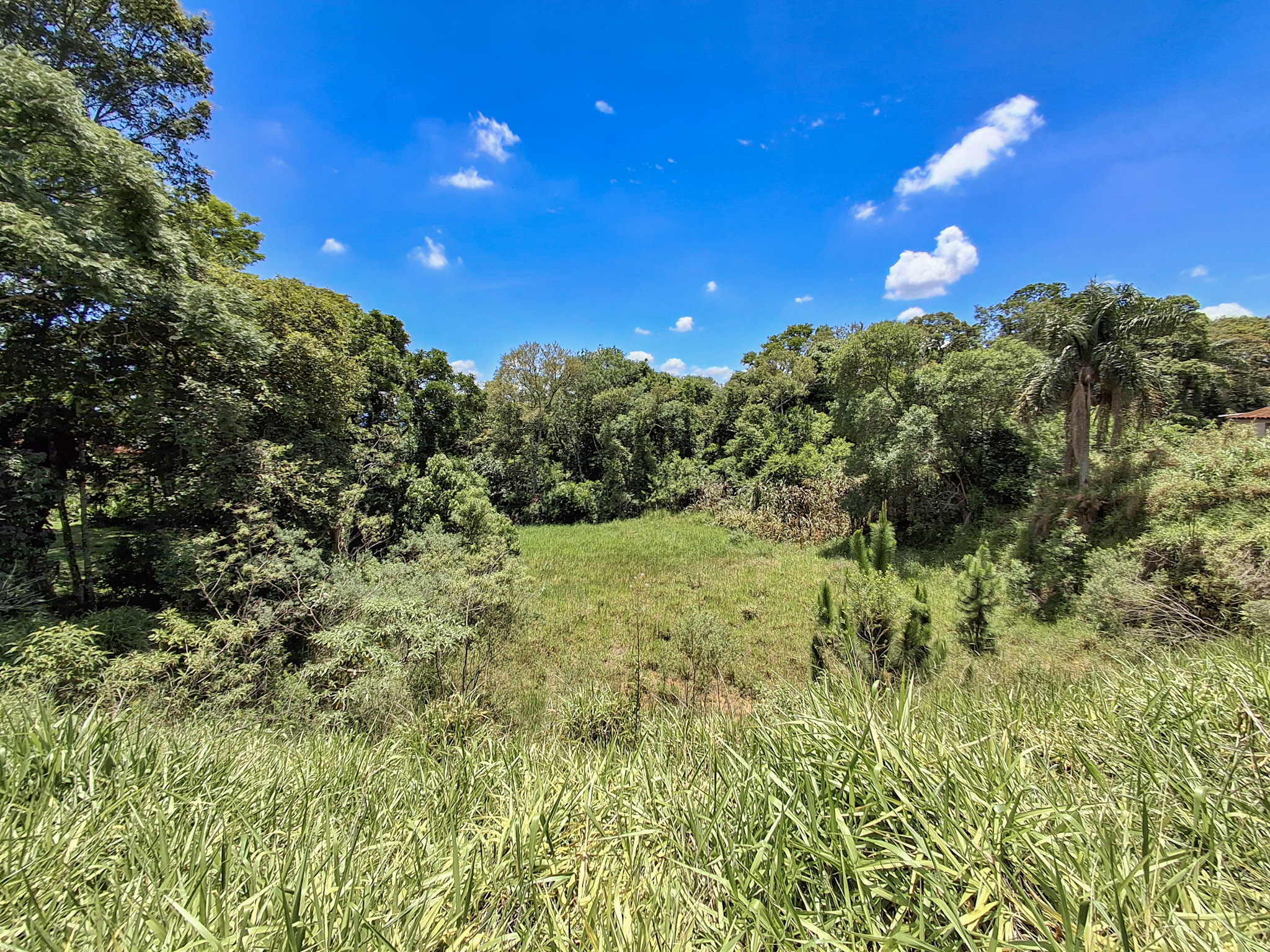 Rural com 3 Quartos à Venda, 5.400,00 m² - Foto 13