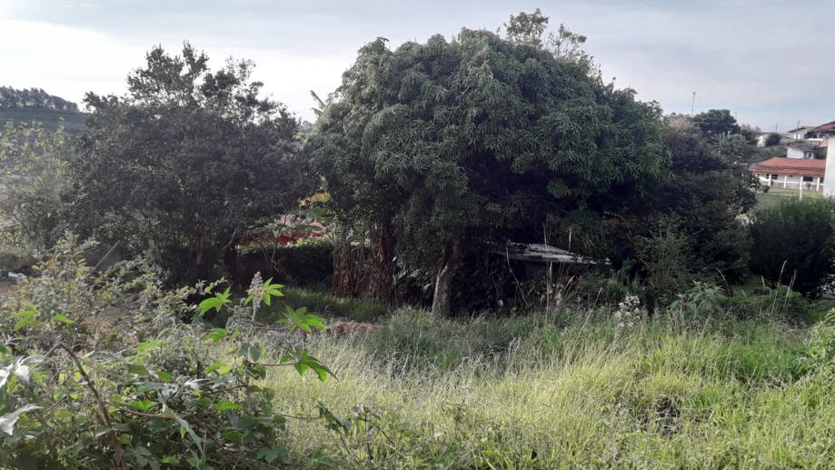 Terreno à Venda, 300,00 m² - Foto 1