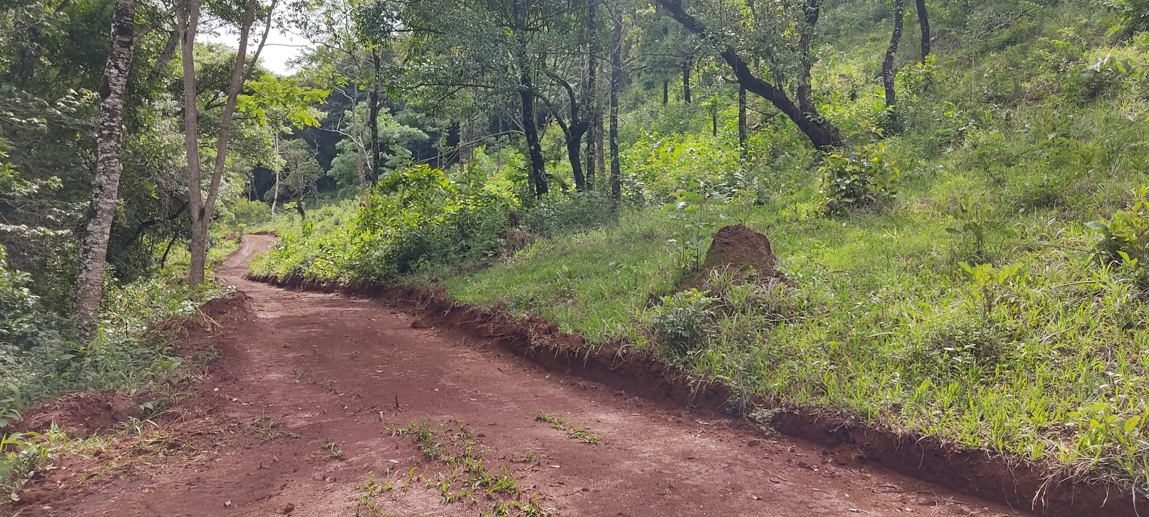 Rural à Venda, 66.000,00 m² - Foto 2