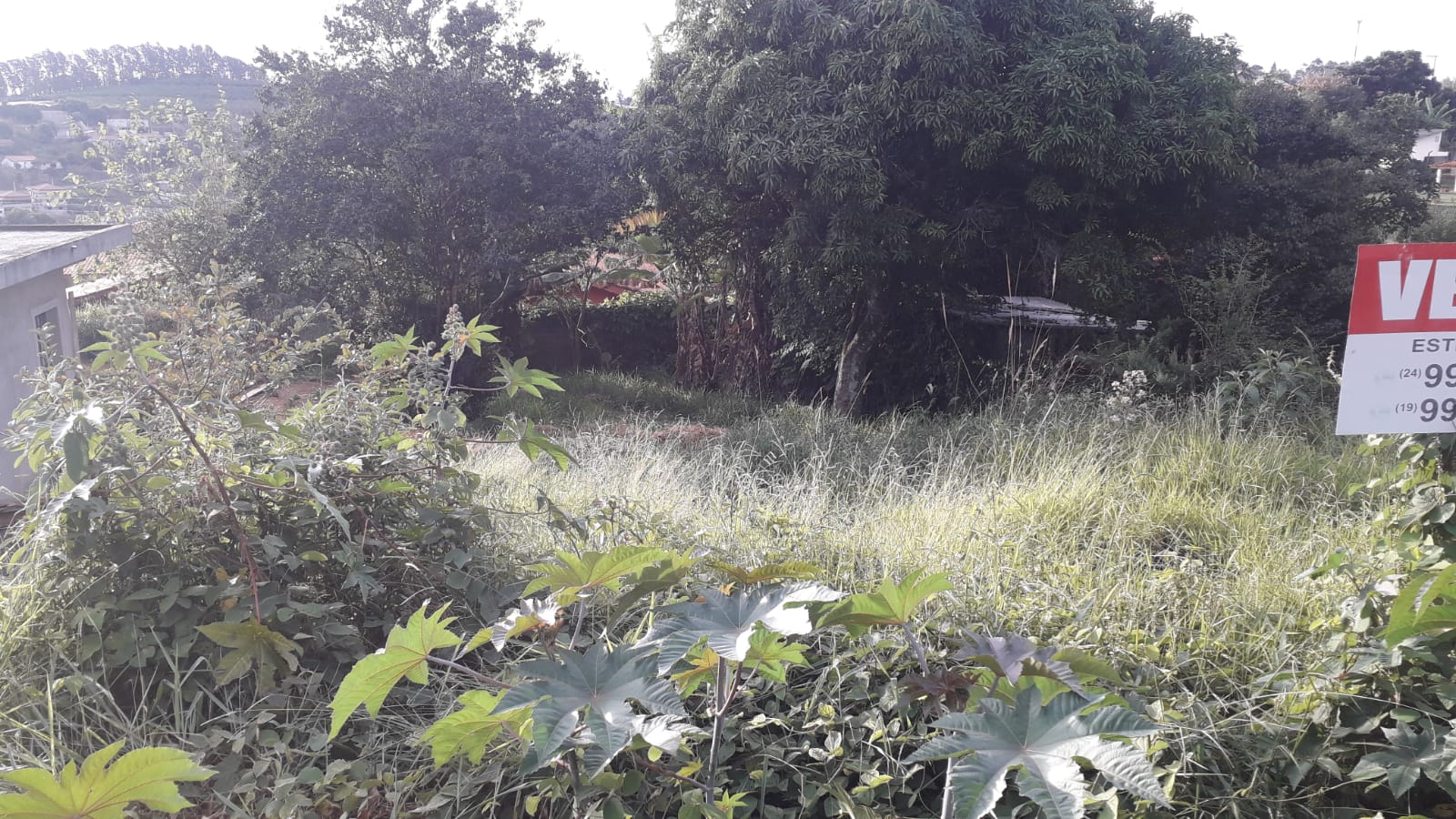 Terreno à Venda, 300,00 m² - Foto 8