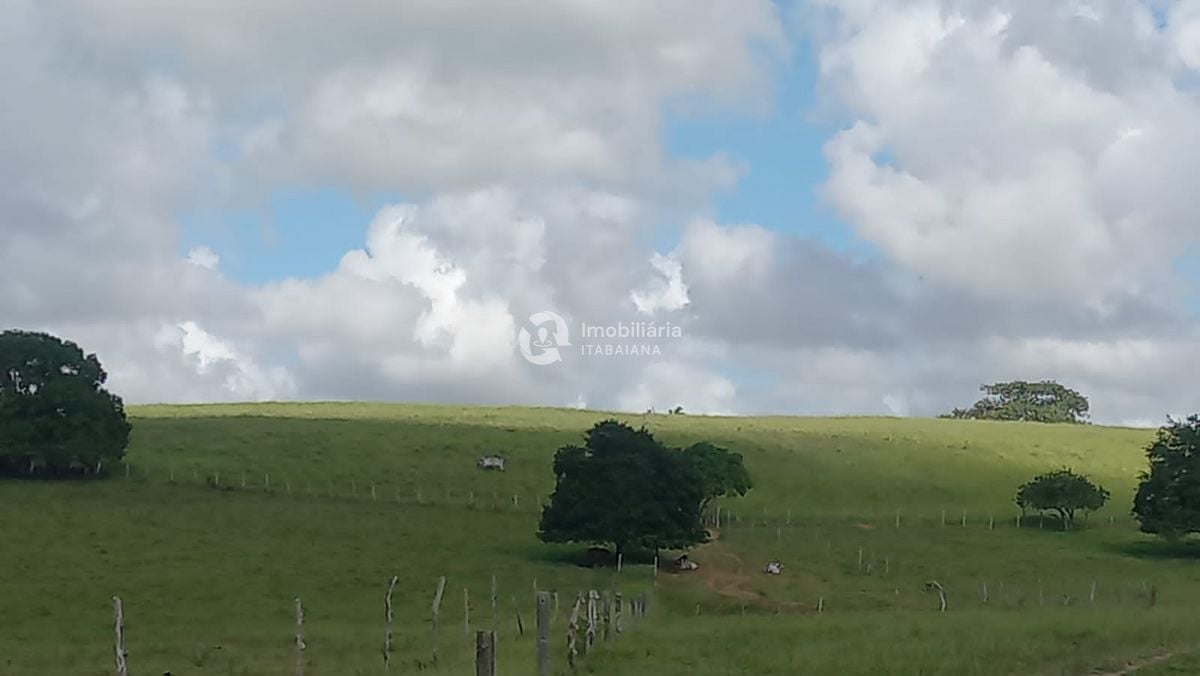 Rural com 5 Quartos à Venda, 868,00 m² - Foto 19