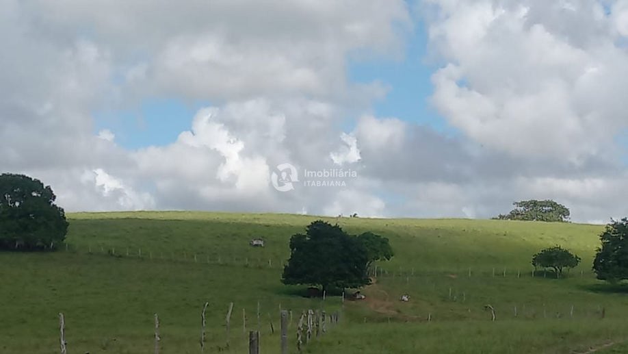 Rural com 5 Quartos à Venda, 868,00 m² - Foto 19