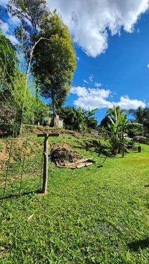 Rural à Venda, 3.025,00 m² - Foto 10