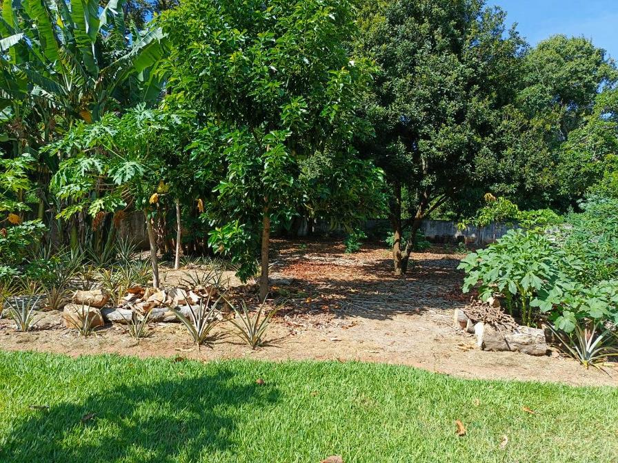 Rural com 5 Quartos à Venda - Foto 18