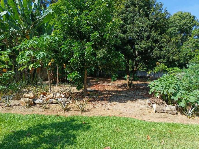 Rural com 5 Quartos à Venda - Foto 18