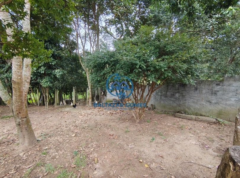 Rural com 1 Quarto à Venda - Foto 10