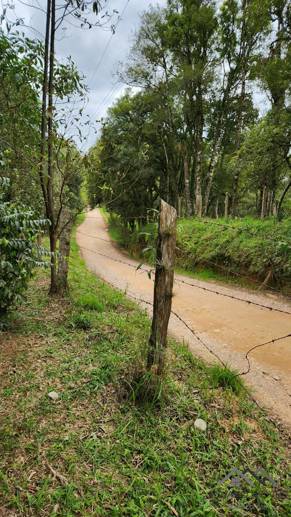 Terreno à Venda, 17.000,00 m² - Foto 11