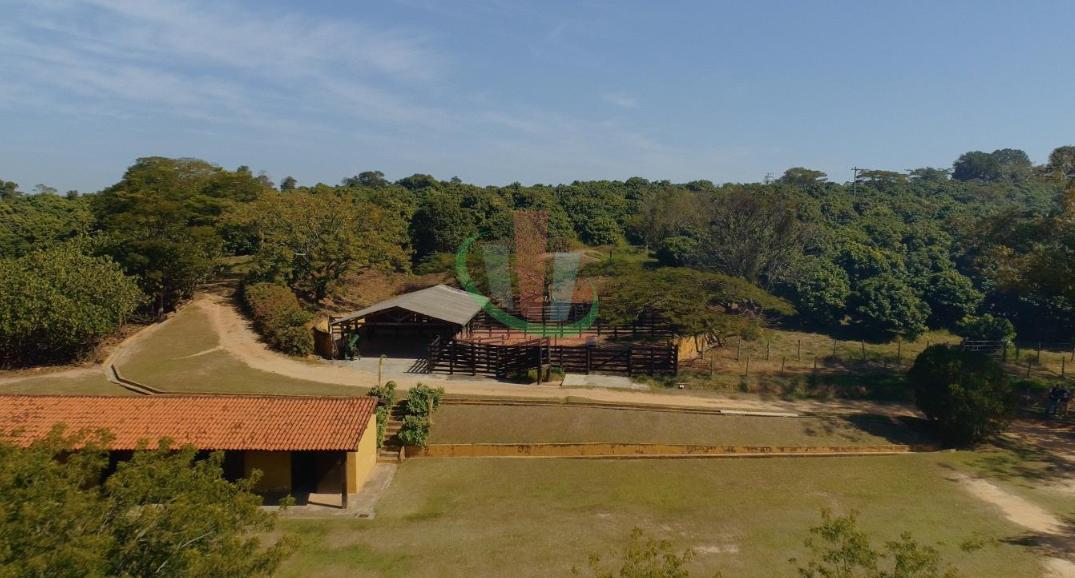 Rural com 4 Quartos à Venda, 241.000,00 m² - Foto 16