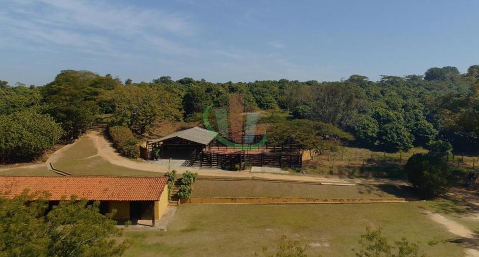 Rural com 4 Quartos à Venda, 241.000,00 m² - Foto 16