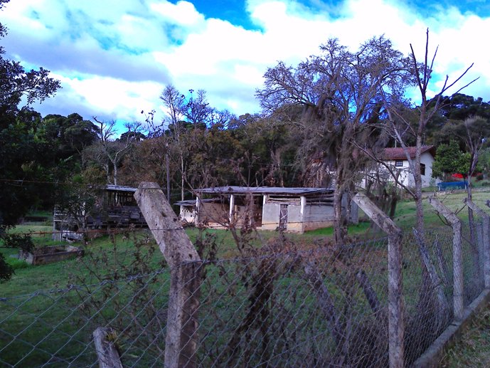 Rural com 3 Quartos à Venda, 24.946,87 m² - Foto 45