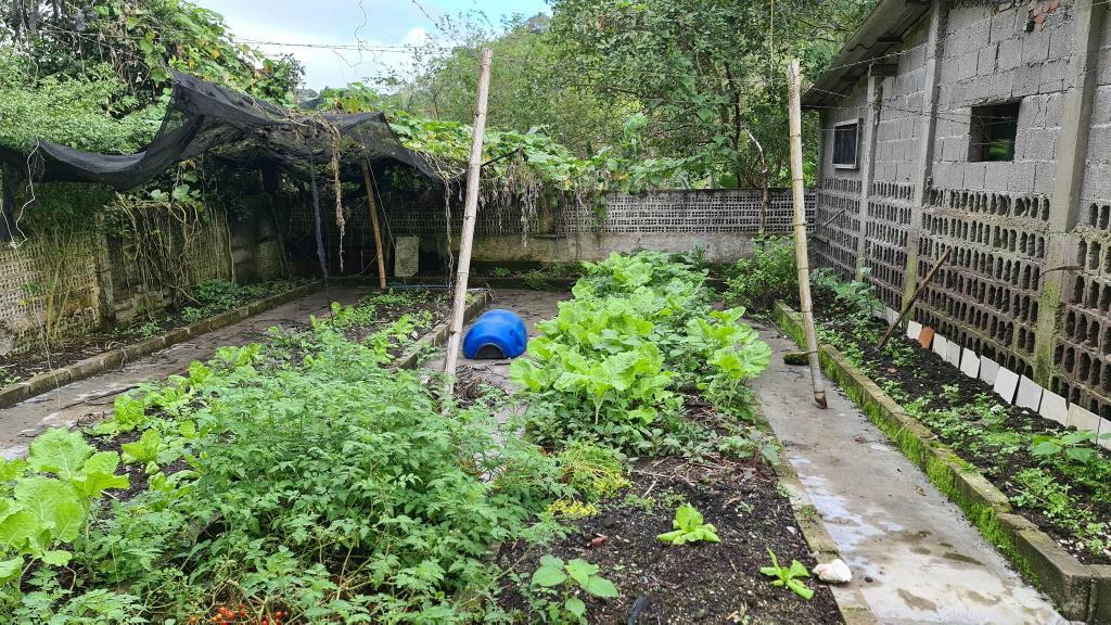 Casa com 2 Quartos à Venda, 30.000,00 m² - Foto 3