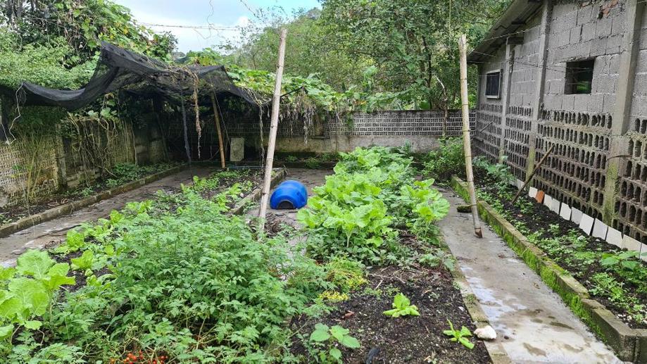 Casa com 2 Quartos à Venda, 30.000,00 m² - Foto 6