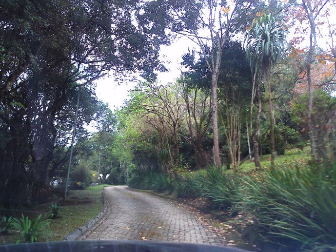 Rural com 3 Quartos à Venda, 1.237,22 m² - Foto 53