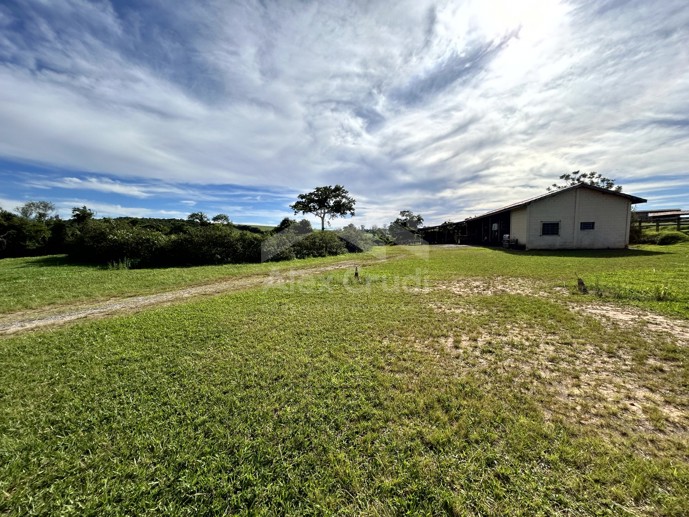 Rural com 8 Quartos à Venda, 242.000,00 m² - Foto 19